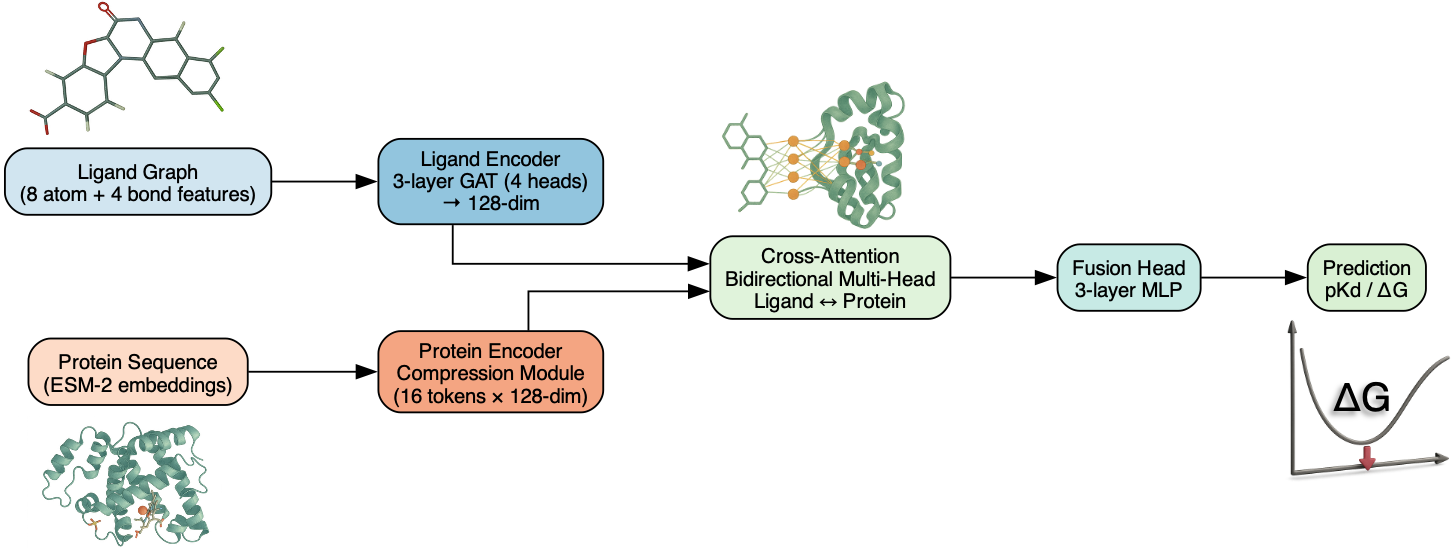 MolXProt Architecture